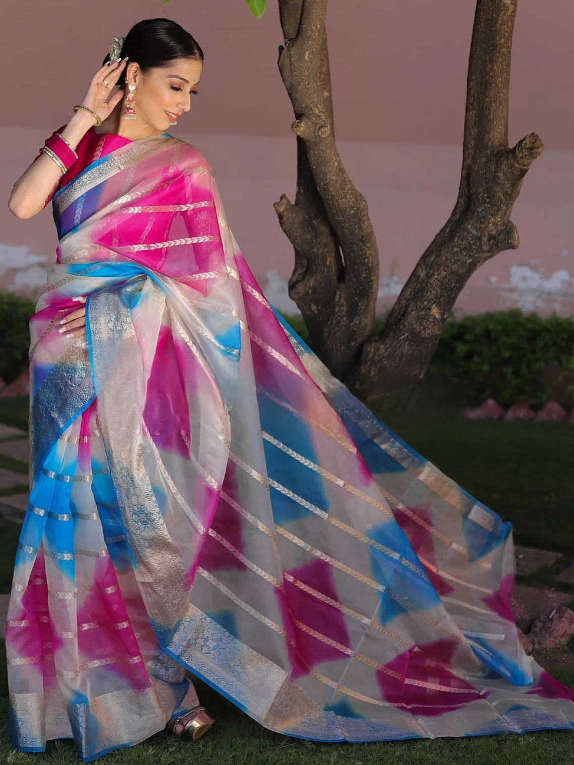 Sareely White Organza And Digital Printed Saree