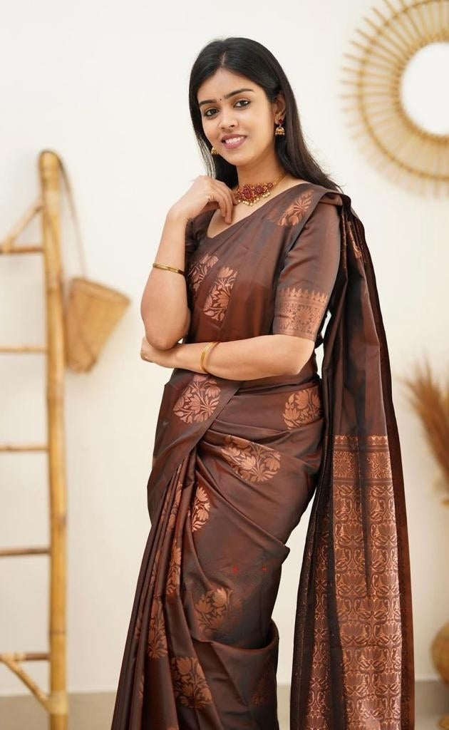 Ailurophile Brown Soft Silk Saree With Panoply Blouse Piece